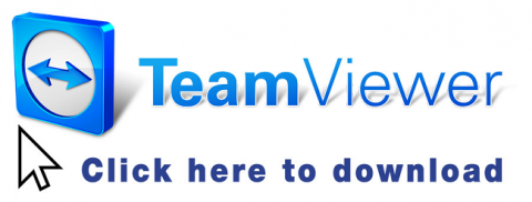 teamviewer for windows server 2008 download